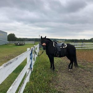 Meet your Posher, Katey